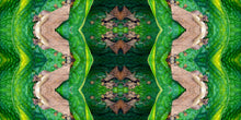 Load image into Gallery viewer, &quot;MOTHRA&quot;© TM1-3618
