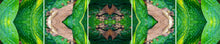Load image into Gallery viewer, &quot;MOTHRA&quot;© TM5-12
