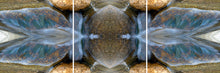 Load image into Gallery viewer, &quot;MYSTIC DRAGONFLY&quot;© TM3-12
