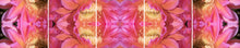 Load image into Gallery viewer, &quot;NIKKI&quot;© TM5-20
