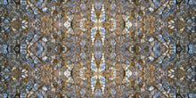 Load image into Gallery viewer, &quot;PATECATL&quot;© TM1-3618
