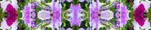 Load image into Gallery viewer, &quot;PETULA&quot;© TM5-20
