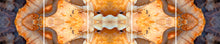 Load image into Gallery viewer, &quot;PHYLLA&quot;© TM5-12
