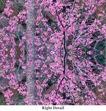 Load image into Gallery viewer, &quot;REDBUD RIPPLE&quot;© TM9-24 Krys Glyphs Stacked
