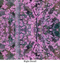 Load image into Gallery viewer, &quot;REDBUD RIPPLE&quot;© TM9-6 Krys Glyphs Stacked
