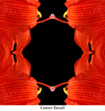 Load image into Gallery viewer, &quot;REDDY OR NOT&quot;© TM3-12
