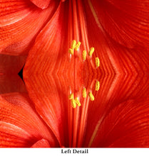 Load image into Gallery viewer, &quot;REDDY OR NOT&quot;© TM3-12

