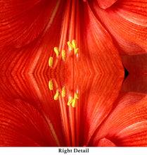 Load image into Gallery viewer, &quot;REDDY OR NOT&quot;© TM3-12
