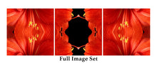Load image into Gallery viewer, &quot;REDDY OR NOT&quot;© TM3-12
