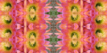 Load image into Gallery viewer, &quot;SIZZLE IN PINK&quot;© TM1-3618

