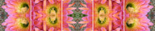 Load image into Gallery viewer, &quot;SIZZLE IN PINK&quot;© TM5-20
