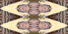 Load image into Gallery viewer, &quot;STARFIRE&quot;© TM1-3618
