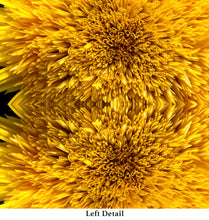Load image into Gallery viewer, &quot;SUNNY DAZE&quot;© TM3-12
