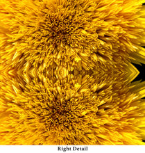 Load image into Gallery viewer, &quot;SUNNY DAZE&quot;© TM3-12
