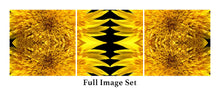 Load image into Gallery viewer, &quot;SUNNY DAZE&quot;© TM3-12
