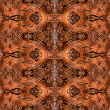 Load image into Gallery viewer, &quot;SWIRLING ESSENCE&quot;© TM1-LE-24
