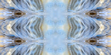 Load image into Gallery viewer, &quot;TALLULAH&quot;© TM1-3618
