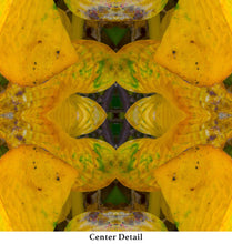 Load image into Gallery viewer, &quot;TEQUILA SORBET&quot;© TM9-6 Krys Glyphs Stacked
