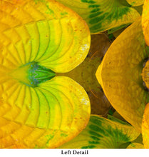 Load image into Gallery viewer, &quot;TEQUILA SORBET&quot;© TM9-6 Krys Glyphs Stacked
