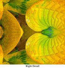 Load image into Gallery viewer, &quot;TEQUILA SORBET&quot;© TM9-6 Krys Glyphs Stacked
