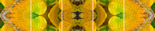 Load image into Gallery viewer, &quot;TEQUILA SORBET&quot;© TM5-12

