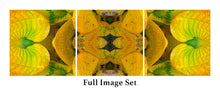 Load image into Gallery viewer, &quot;TEQUILA SORBET&quot;© TM3-24
