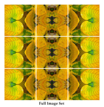 Load image into Gallery viewer, &quot;TEQUILA SORBET&quot;© TM9-6 Krys Glyphs Stacked
