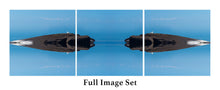 Load image into Gallery viewer, &quot;THE BIG BLUE&quot;© TM3-12
