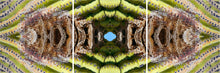 Load image into Gallery viewer, &quot;THE OTHER SIDE&quot;© TM3-24
