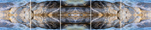 Load image into Gallery viewer, &quot;THE SOURCE&quot;© TM5-20
