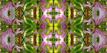 Load image into Gallery viewer, &quot;TIKI DEL REY&quot;© TM1-3618
