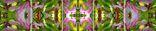 Load image into Gallery viewer, &quot;TIKI DEL REY&quot;© TM5-6
