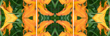 Load image into Gallery viewer, &quot;TRANSMISSION CONTROLLED&quot;© TM3-24
