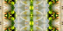 Load image into Gallery viewer, &quot;TULIP DECO&quot;© TM1-3618

