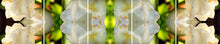 Load image into Gallery viewer, &quot;TULIP DECO&quot;© TM5-6
