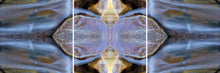 Load image into Gallery viewer, &quot;TURTLE FALLS&quot;© TM3-12
