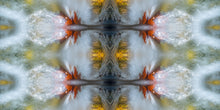 Load image into Gallery viewer, &quot;VENUS SCEPTRE&quot;© TM1-3618
