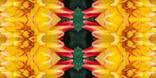 Load image into Gallery viewer, &quot;XOCHIPILLI&quot;© TM1-3618
